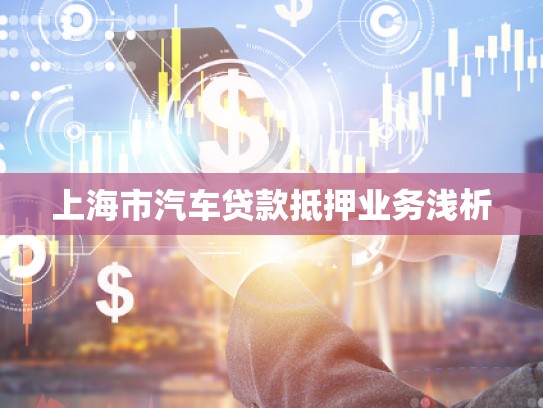 上海市汽車貸款抵押業(yè)務(wù)淺析 上海市汽車貸款抵押業(yè)務(wù)淺析