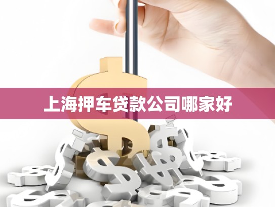 上海押車貸款公司哪家好