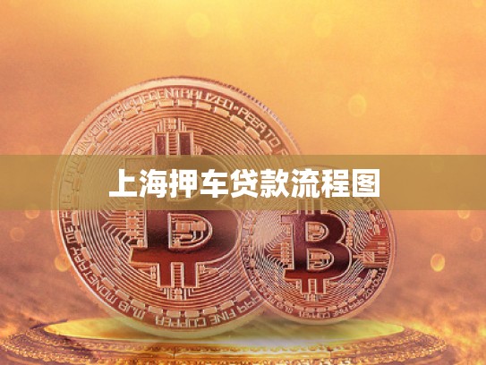 上海押車(chē)貸款流程圖 上海押車(chē)貸款流程圖