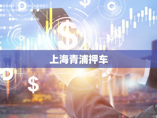 上海青浦押車