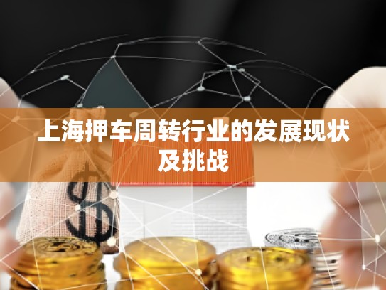 上海押車周轉(zhuǎn)行業(yè)的發(fā)展現(xiàn)狀及挑戰(zhàn)