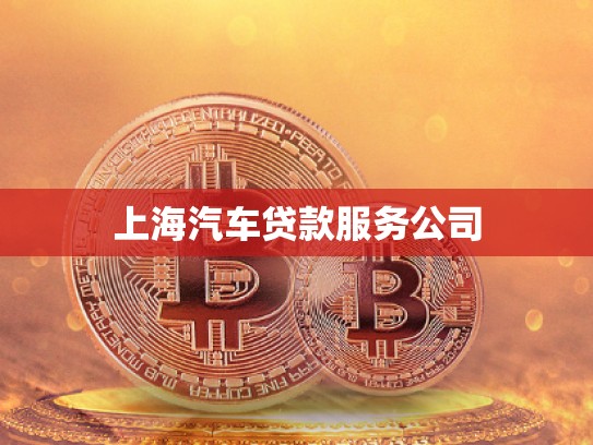 上海汽車貸款服務(wù)公司 上海汽車貸款服務(wù)公司