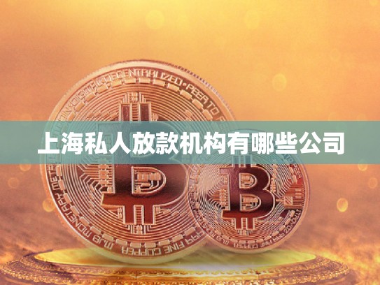上海私人放款機構有哪些公司