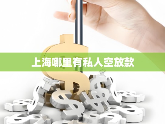 上海哪里有私人空放款 上海哪里有私人空放款