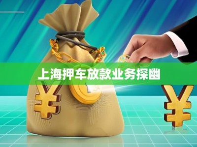 上海押車放款業(yè)務(wù)探幽