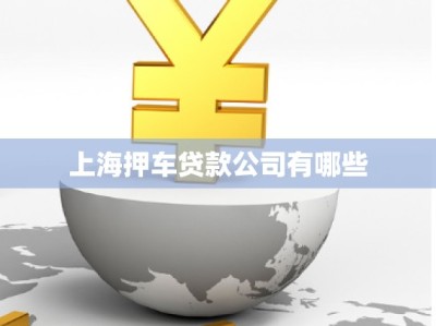 上海押車貸款公司有哪些